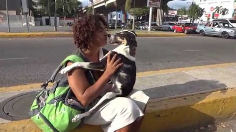 Collection Of Mujer Se Queda Abotonada Con Perro Videos Gratis Mujer