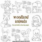 Woodland Colouring Animal Pages Animals Coloring Forest Color Templates Kids Printable Cute Creatures Printables Print Sheets Little Raccoon Activity Craft sketch template