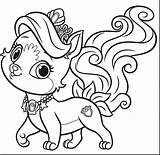 Coloring Pages Cute Puppy Kids Pets Princess Dog Pomeranian Duke Palace Color Disney Printable Pet Print Animals Market Getcolorings Colouring sketch template