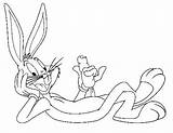 Bunny Bugs Coloring Carrot Lengthened Bug Drawings Drawing Getdrawings sketch template