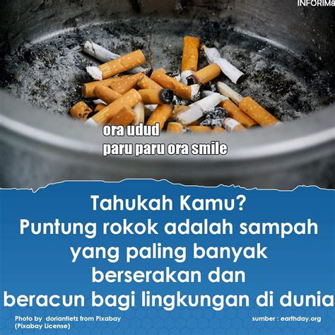 puntung rokok  sampah    berserakan  beracun