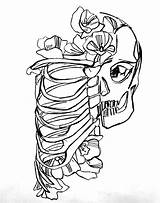 Drawing Rib Cage Heart Cliparts Ribs Skeleton Clipart Coloring Clip Pages Getdrawings Library Use Computer Designs sketch template