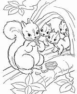 Herfst Kleurplaten Squirrel Ausmalvorlagen Eichhornchen Topkleurplaat Drucke Ausmalbildermalvorlagen sketch template