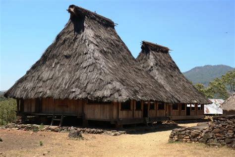 gambar rumah adat nusa tenggara timur berbagai rumah