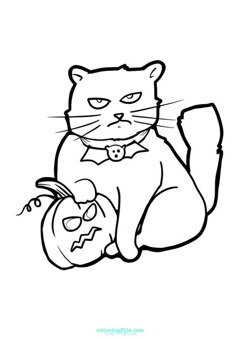 halloween cat  pumpkin coloring pages pumpkin coloring pages