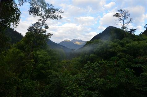unprecedented threat  perus cloud forests wake forest news