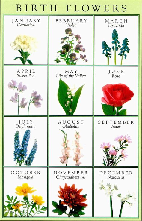 birthday flowers   month birth flowers greeting card horoscopes