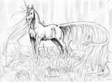 Coloring Pages Unicorn Realistic Animal Print sketch template