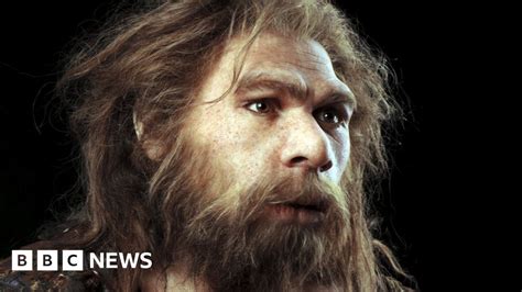 neanderthals and humans interbred 100 000 years ago bbc news