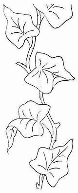 Ricamo Edera Intaglio Motivi Modelli Zeichnen Mano Ricamare Dicas Tecnicas Patrones Bordar Diseños Sunflowers Arboles Como Oceano Vetrate Mosaico Colorate sketch template