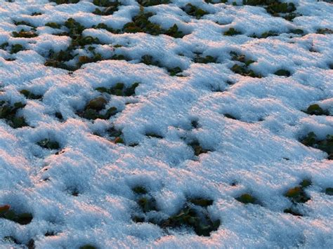 winter ground snow cover   jpg format   easy  unlimit id
