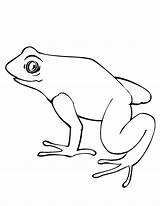 Hibernate Frogs Kids sketch template