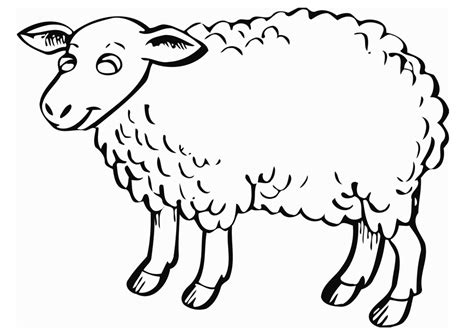 printable sheep coloring pages  kids