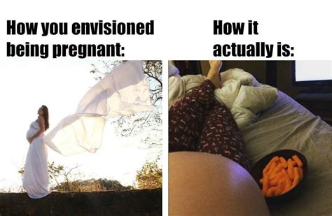 pin on pregnancy humor