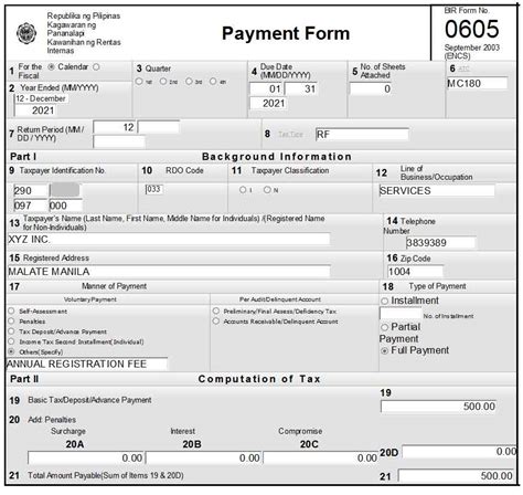 bir form  annual registration fee