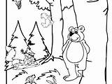 Coloring Pages Forest Habitat Getdrawings Woodland sketch template