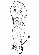 Coloring Pages Labrador Puppy Lab Birthday Yellow Dog Getdrawings Drawing Popular sketch template