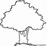 Mango Treehut sketch template