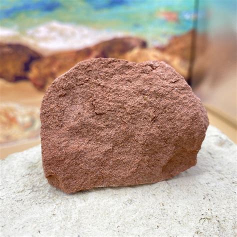 desert sandstone permian uk rock sample earthlines