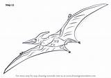 Pterodactyl Drawingtutorials101 Finally sketch template