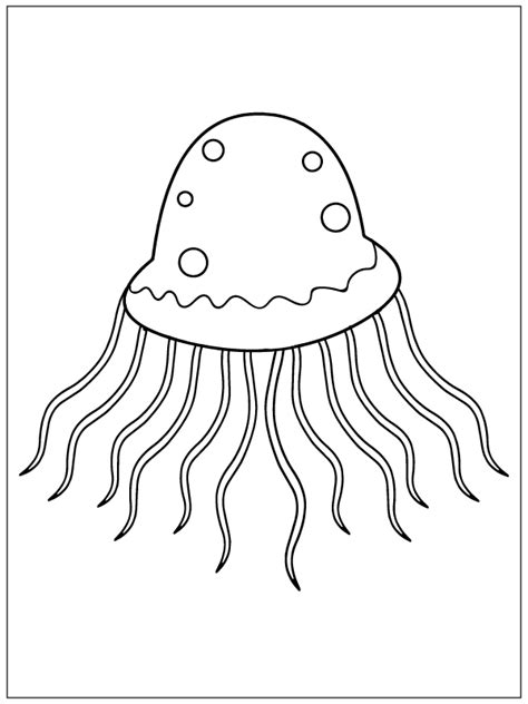 jellyfish coloring pages  printable coloring pages  kids