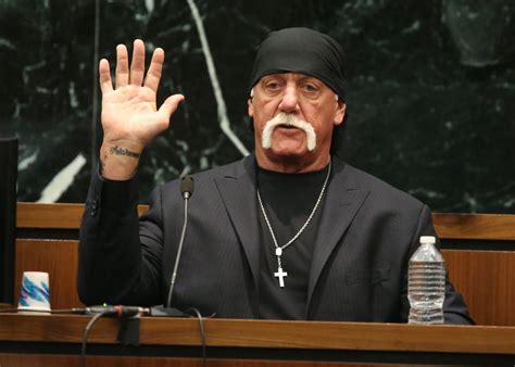 Jury Awards Hulk Hogan 115 Million In Gawker Suit Punitive Damages