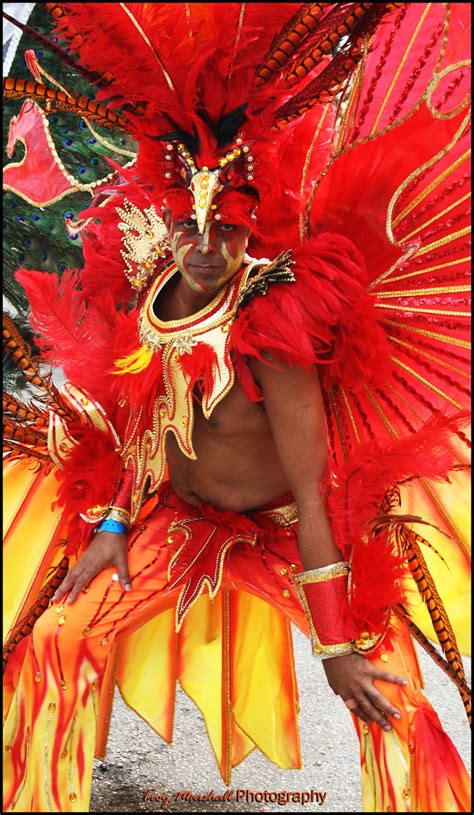 Trinidad Carnival 2009 Tribe Costume Trinidad Carnival