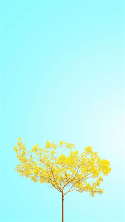 minimalist spring wallpaper hd free download phong cảnh