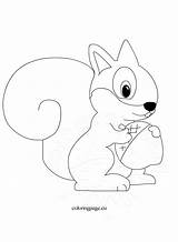 Squirrel Cute Cartoon Coloring Drawing Squirrels Getdrawings Reddit Email Twitter sketch template