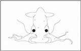 Coloring Animals Sea Tracing Vampire Squid Pages Mathworksheets4kids sketch template