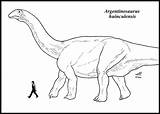 Argentinosaurus Huinculensis sketch template