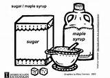 Sugar Coloring Maple Syrup Pages Large sketch template