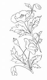 Coloring Poppy Pages Flower sketch template