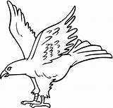Hawk Coloring Pages Color Kids Supercoloring sketch template
