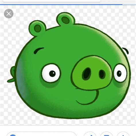green pig snout youtube
