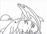 Dolphin Kidsplaycolor sketch template