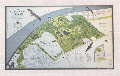 illustrated map  de hobokense polder johan meuris