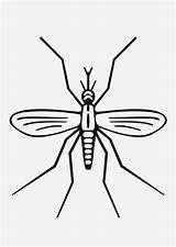 Mosquito Colorir Dengue Desenhos Transmissor Cuidado sketch template