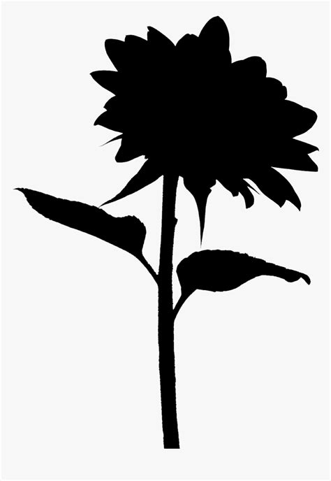 sunflower silhouette transparent background sunflower png png