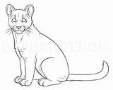 Puma Cougars Cartoon Getdrawings Dragoart Kolorowanki sketch template