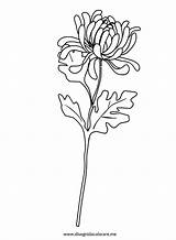 Crisantemo Fiore Stilizzati Fiori Sagome Stilizzata Disegnidacolorare sketch template