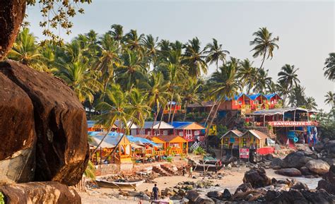 top     goa  attraction activity guide expedia