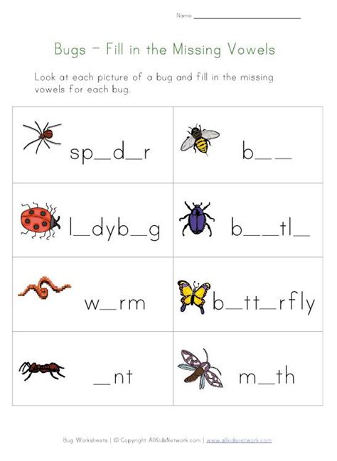 bug worksheets  kids worksheets  kids kindergarten worksheets