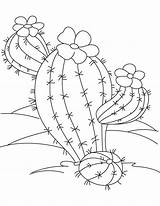 Kaktus Cactos Suculentas Ausmalbilder Riscos Graciosos Embroidery Succulents Cacti Bestcoloringpages Patterns sketch template