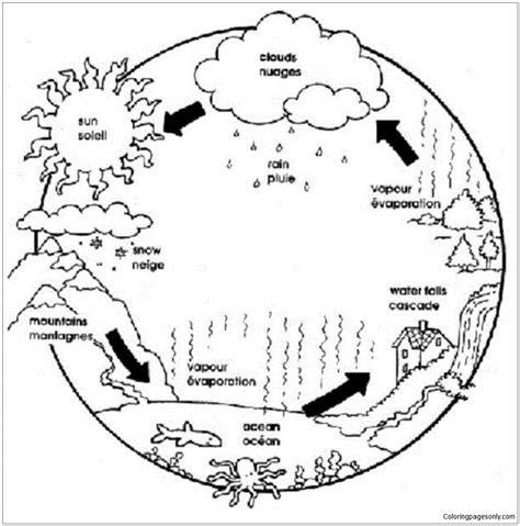 water cycle precipitation coloring page  printable coloring pages