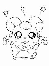 Hamster Coloriage Hamsters sketch template