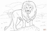 Coloring Lion Pages Löwen Printable Kids Print Choose Board Der African Animal sketch template
