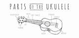 Ukulele String Kala Strings Chords Kalabrand sketch template