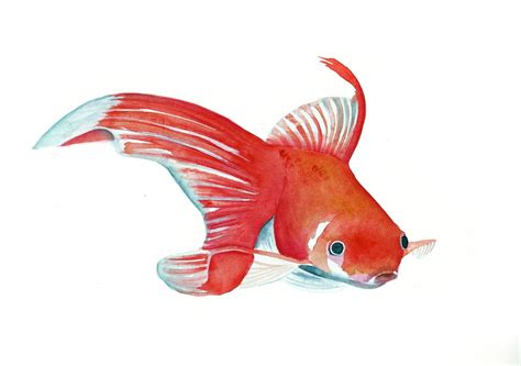 fish painting original watercolor painting