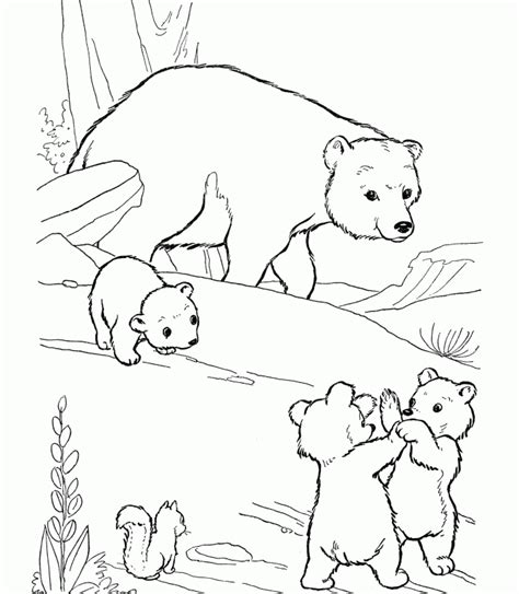 smokey  bear coloring page coloring home